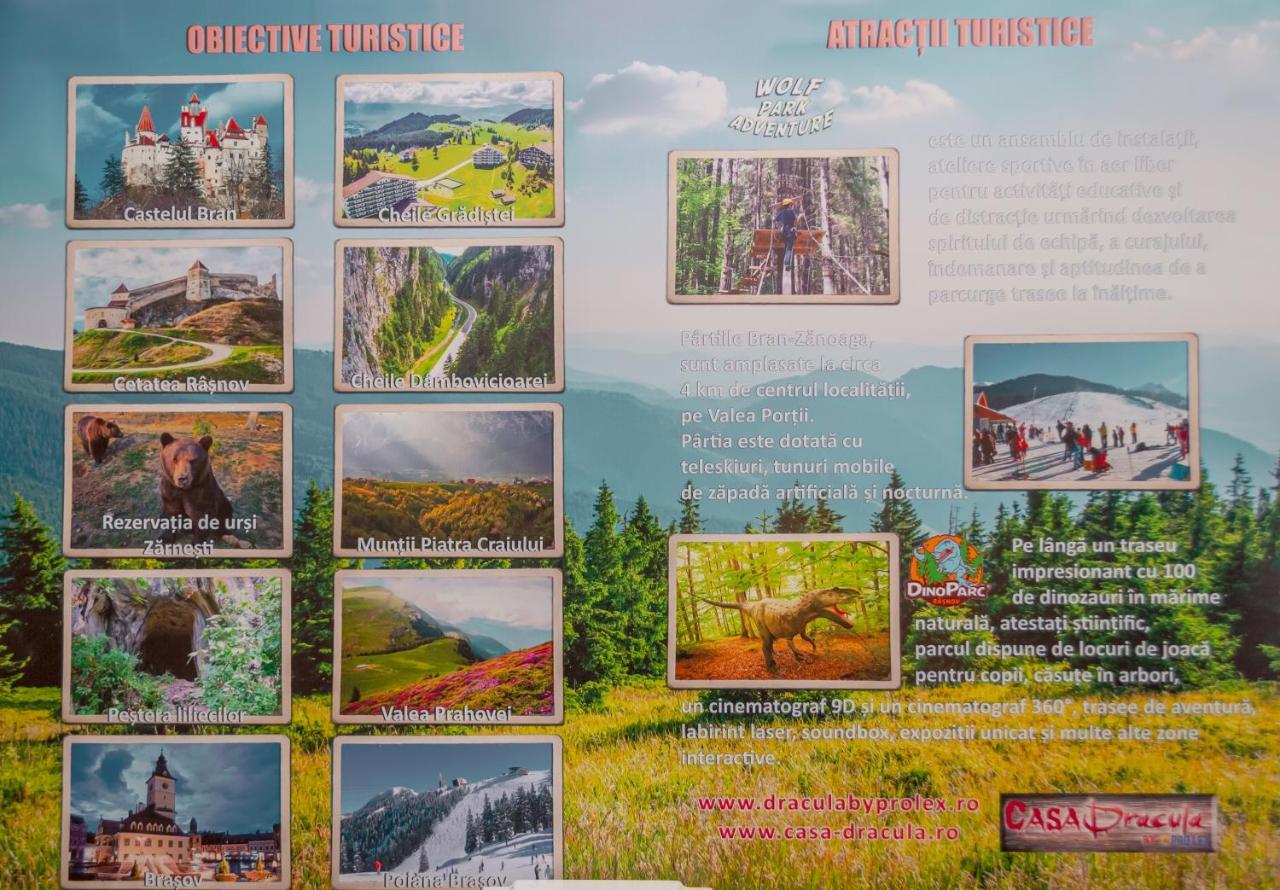 Prolex Turism Srl Bran (Brasov) Exterior foto